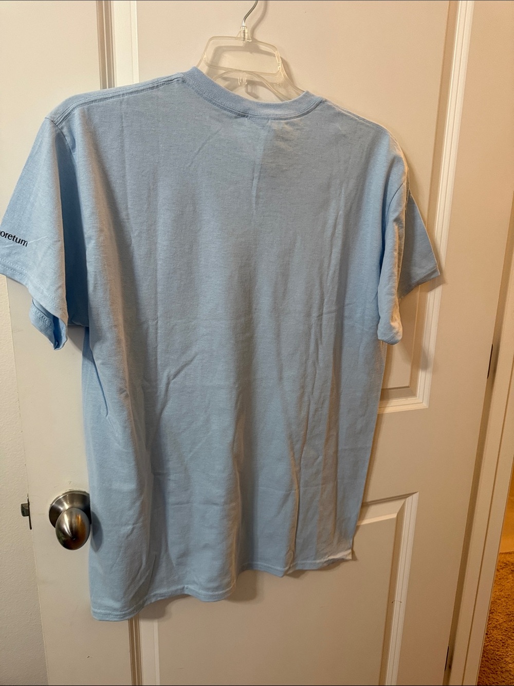 Advice from a Cardinal Graphic Tee - Light Blue - Picture 7 of 8
